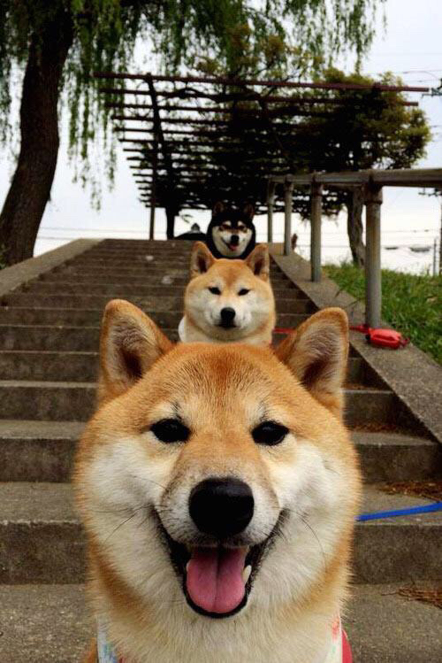 拉普罗维托拉:感谢坎帕佐,我从他身上学到了很多,尼古拉斯·拉普罗维托拉