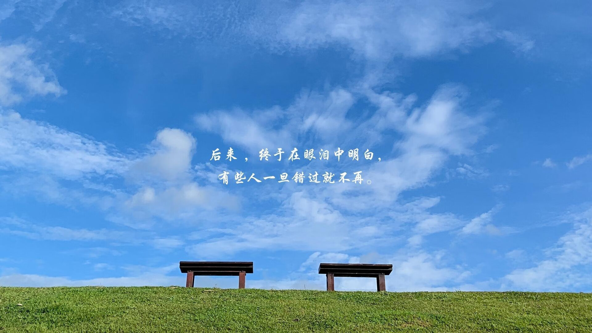 车神重出江湖：曾经的冠军车手时代回归，车神简介