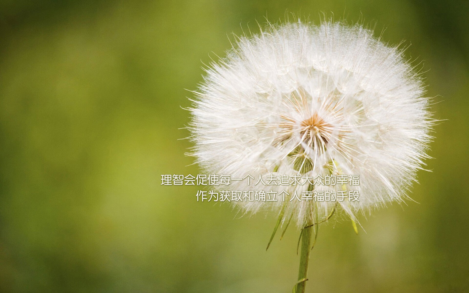 熊猫体育app-伯恩利反击锐利，克拉文公园再现辉煌，克拉文庄园