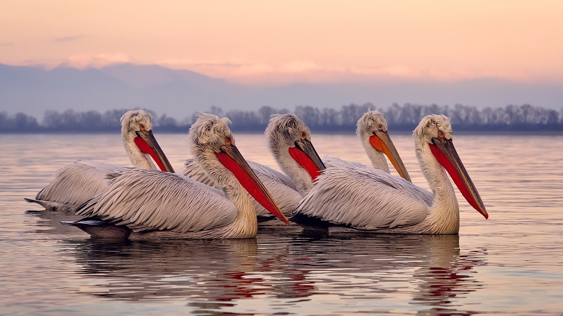 熊猫体育在线登录-女足比赛观众人数增加，关注度提升，女足比赛有什么观赏性