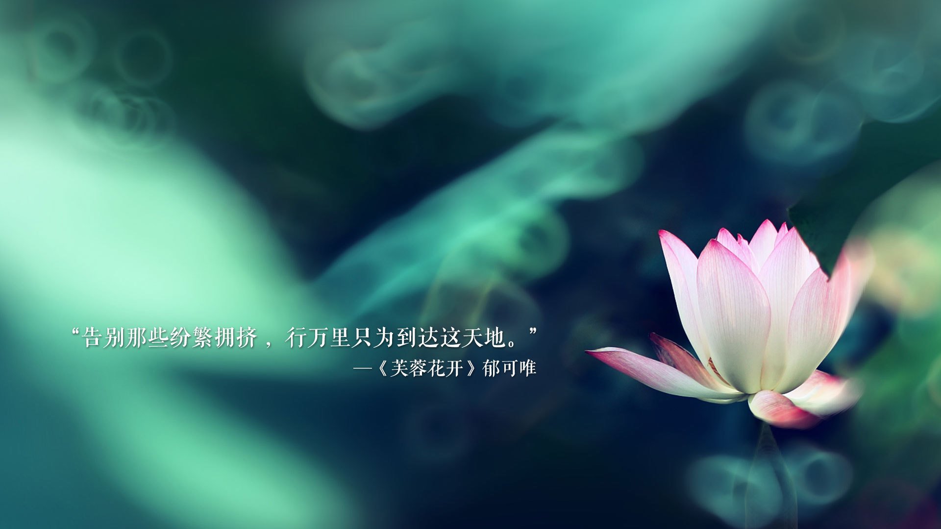 皇马主场失利欧冠，卫冕之途岂容半点阻挡，皇马获胜