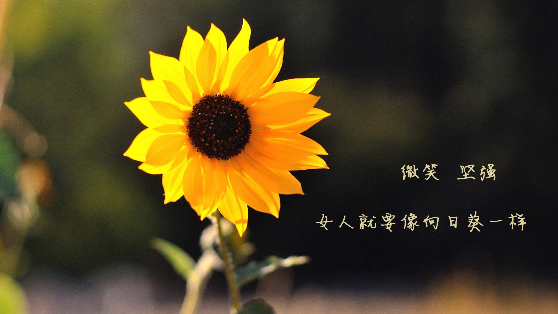 莱比锡球员获月度最佳，莱比锡球员获月度最佳球员是谁