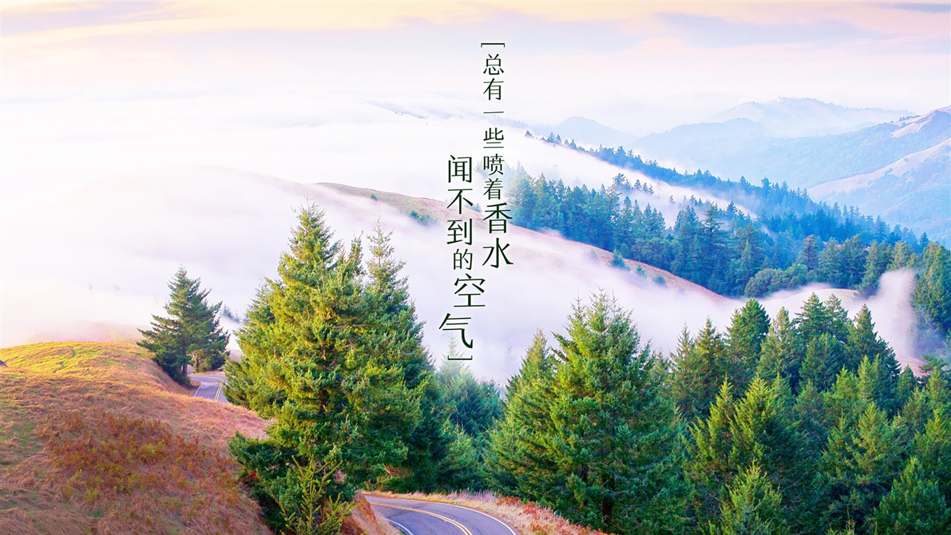 阿贾克斯逆转狂飙，晋级四强佳音令人振奋，0203阿贾克斯