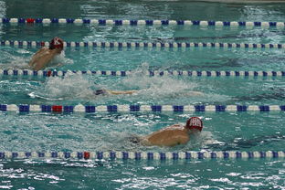 Panda Sports-亚洲游泳冠军赛孙杨携队友力夺接力金，中国游泳冠军孙扬