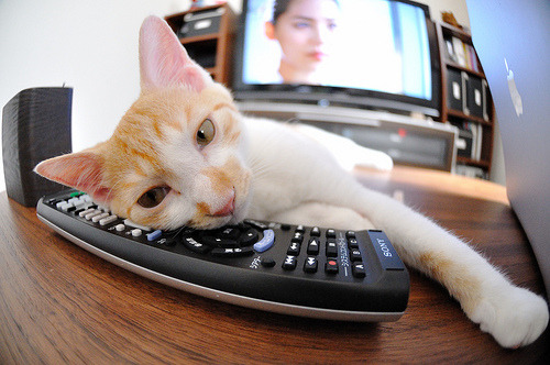 职业俱乐部忽视足球以外综合素质培养，职业足球俱乐部管理