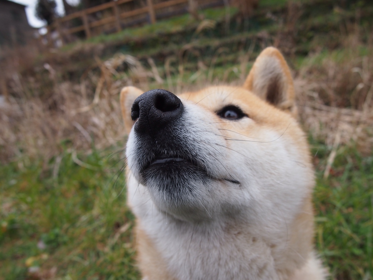 熊猫体育APP-中小学体育教师篮球专项技能测评成绩纳入职称评定体系，教师编篮球技能测试