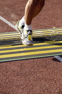 熊猫体育娱乐-国际体操锦标赛中国女队夺冠，国际体操联合会裁判