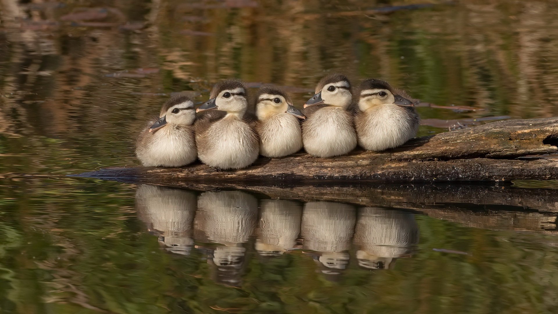 熊猫体育全站-朱婷训练照曝光手指仍缠着绷带，朱婷的手受伤了吗