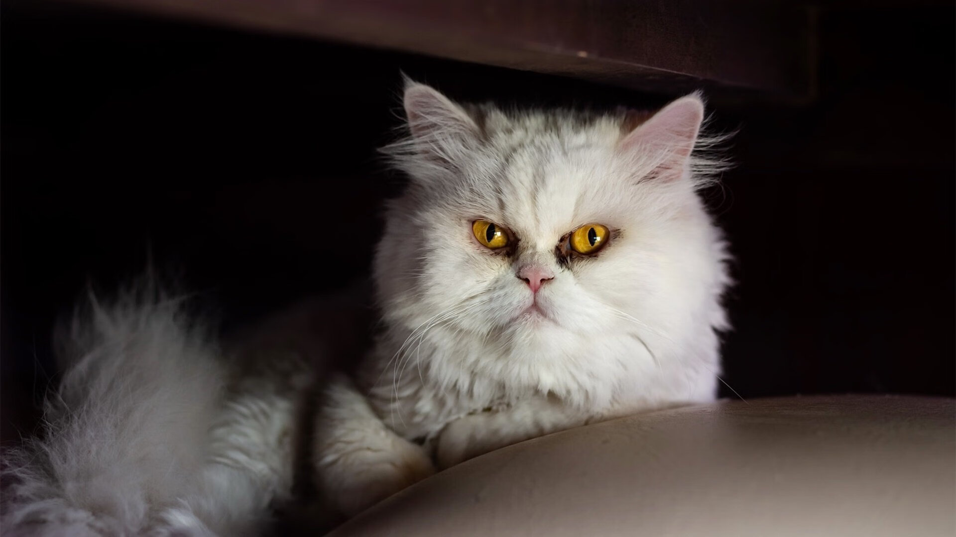 欧洲杯资格赛爆出冷门,传统强队遭淘汰,欧洲杯资格赛爆出冷门,传统强队遭淘汰