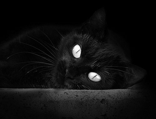 萨默·麦金托什冲刺阶段表现抢眼,麦金托什风格